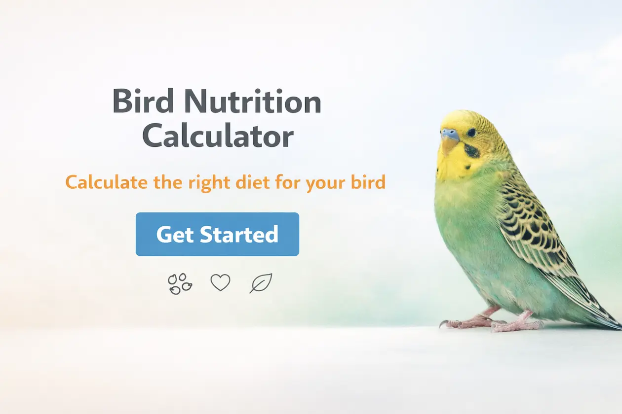 Bird nutrition calculator hero image