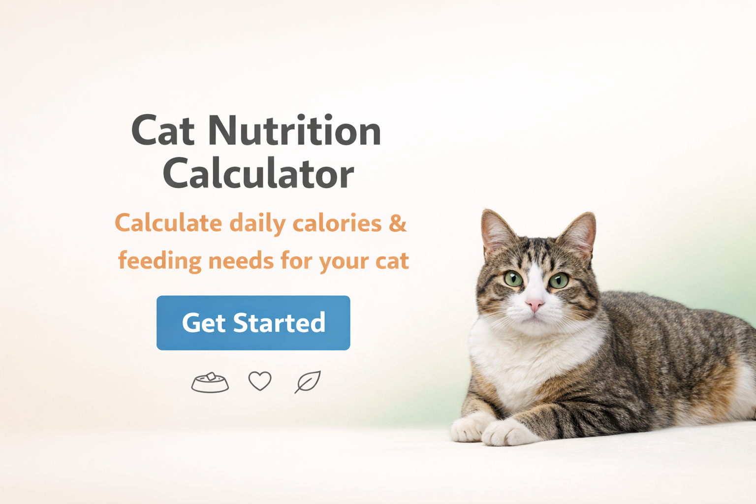 Cat Calorie Calculator — Free Daily Calorie & Nutrition Tool for Cats