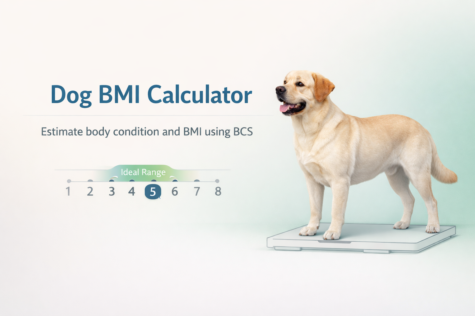 Dog BMI Calculator | Free Body Condition Score Tool for Dogs