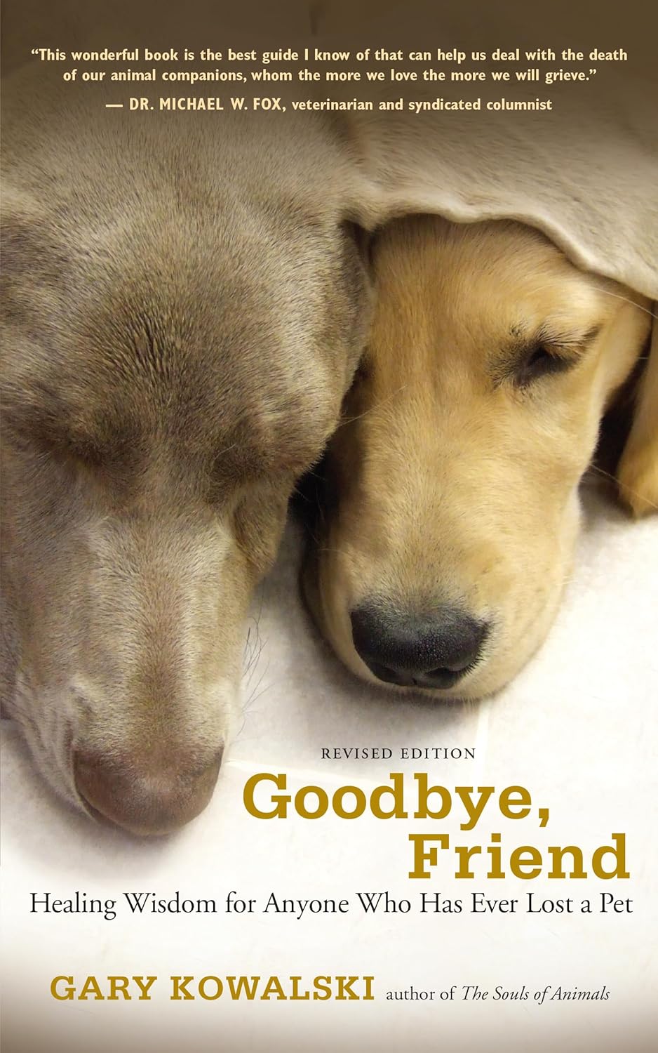 Goodbye, Friend book cover