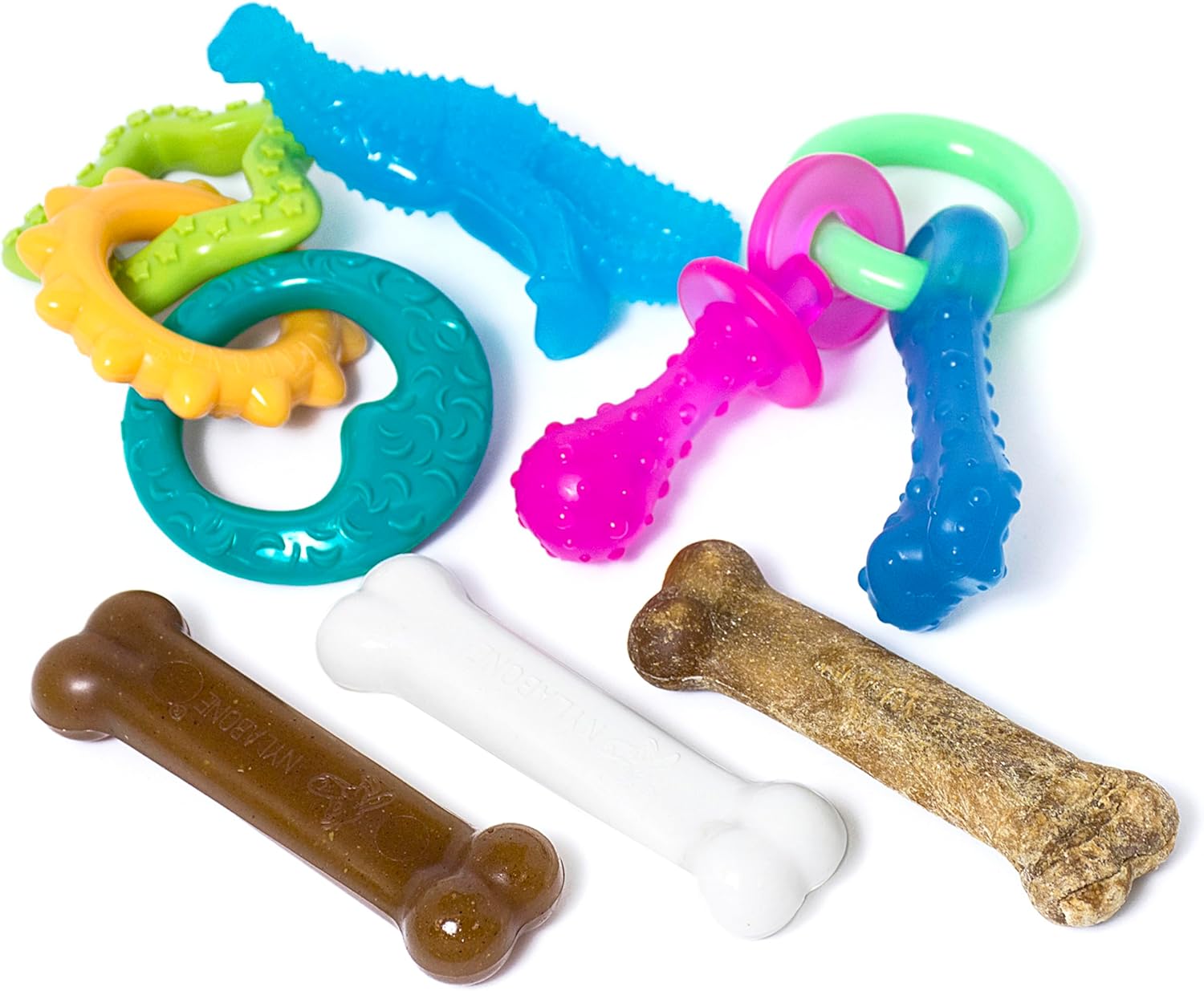 New Puppy Starter Kit